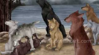 Quileute Werewolves [upl. by Deborah]