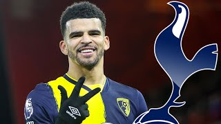 Spurs consider late transfer swoop for Solanke in £50m deal days before deadline [upl. by Syman]