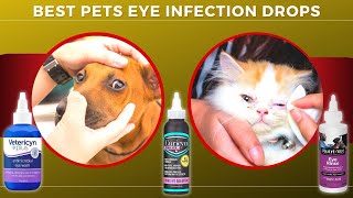 Best Pets Eye Infection Drops For Dogs amp Cats Relieve Eye Allergies [upl. by Annaiviv828]