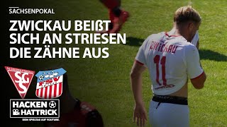 SG Dresden Striesen vs FSV Zwickau  Highlights 2 Runde Sachsenpokal [upl. by Spiegel]