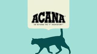 ACANA Cat Food  Protein Rich Recipes Made with Quality Ingredients [upl. by Nerrat]