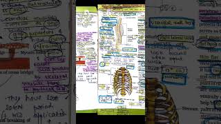 Locomotion and movement class11 ncert highlightedbiology locomotion neet viralvideo highlights [upl. by Annwahs]