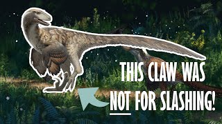 Everything you need to know about Raptors [upl. by Dorthy949]