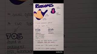 Biology Ribosomes PHYSIOLOGY [upl. by Newhall648]