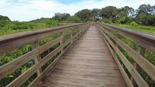 Wakodahatchee Wetlands  Boardwalk Loop  Relaxing Nature Walk  Delray Beach FL  4K [upl. by Onaicul]