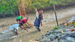 এই প্রথমবার সুন্দরবন জঙ্গলেখাল পাটা দিয়ে মাছ ধরলাম🐟 [upl. by Sidran]