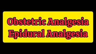 Obstetrics AnalgesiaEpidural Analgesic [upl. by Itsirc401]