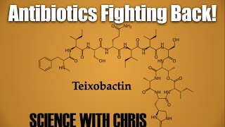 Teixobactin The Newest Antibiotic on the Block [upl. by Mellie528]