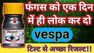 Propiconazole 139   Difenoconazole 139   Vespa Fungicide  Gsp Crop Science  Vespainsect [upl. by Epperson]