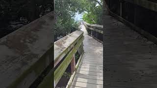 Hurricane Helene Cherokee Park Englewood Florida [upl. by Hafler]