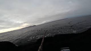 2018 12 02 Newfoundland Eider Hunt Part 1 [upl. by Eliathas]