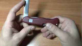 Victorinox Picnicker unboxing [upl. by Frayda779]