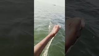 fishing fiish beachfishing fish filefish beach fihing videogama nature fiahing [upl. by Thirza]