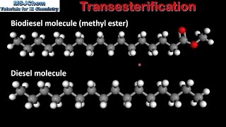 C4 Transesterification SL [upl. by Ahsikrats]