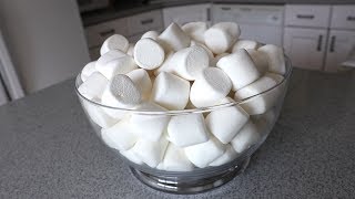 80 Marshmallows Eaten in 60 Seconds Episode 21 [upl. by Viveca]