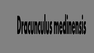 Dracunculus record dr noha madbouly [upl. by Nitsu]