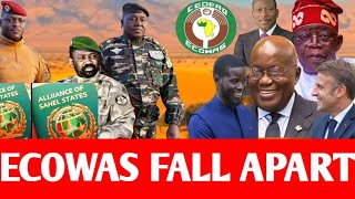 ECOWAS BANS AES PASSPORT AS A WAY TO FORCE THEM BACK INTO THE BLOCK [upl. by Ylla]