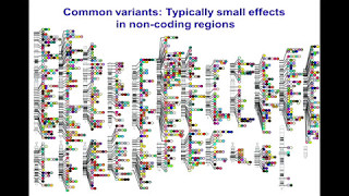 Genomics Big Data and Medicine Seminar Series  Richard Lifton [upl. by Ahsenroc]