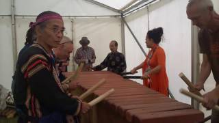 Ugandan Embaire with the Hanoi Masters at WOMAD 2016 [upl. by Elmira160]