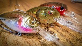 Forgotten Crankbaits For Fall Bass [upl. by Eeneg245]