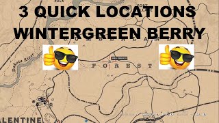 3 Quick and Easy Wintergreen Berry Locations for Daily Challenges in Rdr2 Online Rdr2online [upl. by Giltzow]