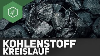 Kohlenstoffkreislauf – Stoffkreisläufe 3 [upl. by Ruperta]