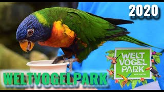 WELTVOGELPARK WALSRODE [upl. by Akieluz]