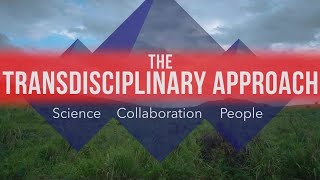 The Transdisciplinary Approach [upl. by Zenas]