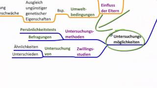 Genetik der Persönlichkeit  Psychologie [upl. by Orrin]