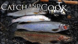 Ultimate Fishing Highlight Reel from Adventures Across the Canadian Wild with Jim Baird [upl. by Cha]