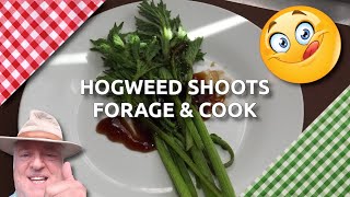 Common Hogweed Shoots  Forage and Cook  Delicious Wild Food 😋 [upl. by Gregrory]