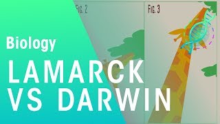 Theories of evolution Lamarck vs Darwin  Evolution  Biology  FuseSchool [upl. by Nylirek369]