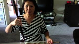 Erhu Lesson One [upl. by Hayyifas]