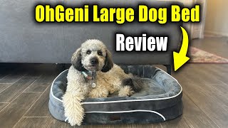 Best Budget Orthopedic Dog Bed By OhGeni [upl. by Droflim570]