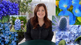 20 Plants With Blue Flowers 💙💙💙 Garden Answer [upl. by Pheni]