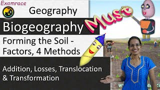 Forming the Soil  Factors 4 Methods and 13 Types Dr Manishika  Examrace [upl. by Llenrep]