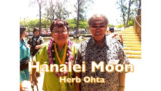 BGM Hanalei Moon  Herb Ohta [upl. by Malena]