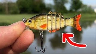 MICRO Jointed Swimbait  SMALLEST in the WORLD Surprising Results [upl. by Earissed998]