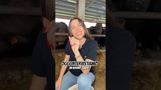 CONOSCIAMO LA REALTÀ DI LAZZARO JEMMA PT 1 🔍 clienti allevatori agricow cowcomfort [upl. by Mella]