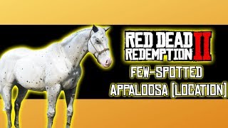 Few Spotted Appaloosa Wild Horse Location  Red Dead Redemption 2 [upl. by Assyle]