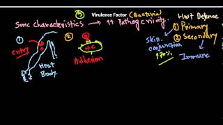 Virulence factors of bacteria [upl. by Eittak]