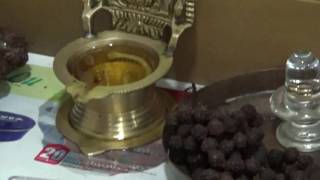 Electro Magnetic Force and Rudraksha  Part 2 by Prajeesh Ramachandran [upl. by Adnilab515]