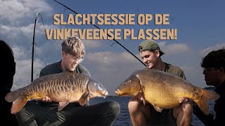 SLACHTSESSIE OP DE VINKEVEENSE PLASSEN [upl. by Annim376]