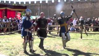 Medieval Armored Combat Sweden IMCF [upl. by Duaner]