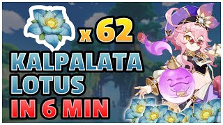 Kalpalata Lotus Loto kalpa Fast Farming Route IN 6 MINUTES  Genshin Impact [upl. by Kapoor803]