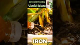 Simple Garden and conservation ideas shorts plants garden orto gardeningtips vegetables green [upl. by Melcher]