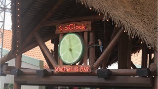 Jimmy Buffets 5 0Clock Somewhere Bar amp GrillAruba Calling all Parrot Heads [upl. by Hardwick]