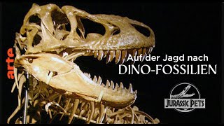 Auf der Jagd nach DinosaurierFossilien  Paläontologie 🦕 ArteDoku [upl. by Asenej]