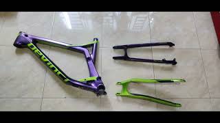 Devinci spartan Tear Down [upl. by Settle]