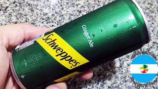 Schweppes Ginger Ale Argentina Nueva 2024 Gaseosa sabor Jengibre [upl. by Tihw]